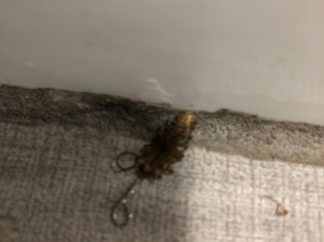 Quality Inn & Suites主图