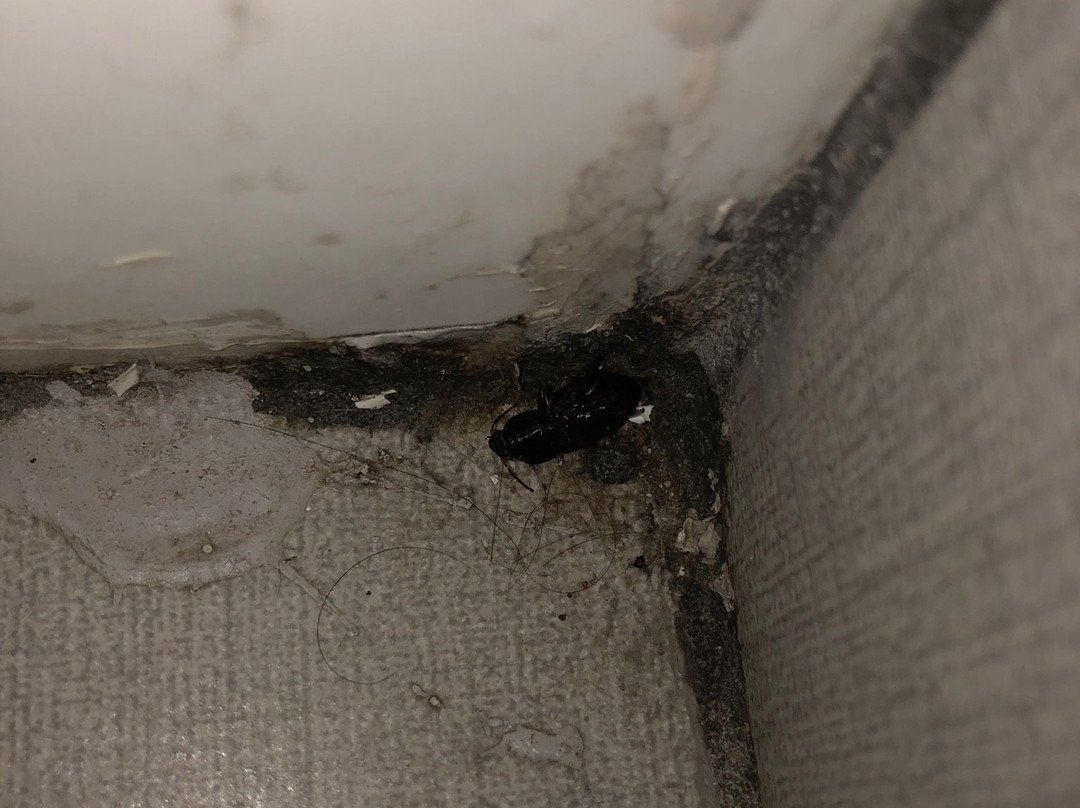 Quality Inn & Suites主图