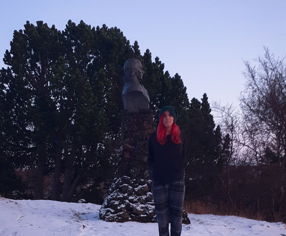 Hellisgerdi Park-哈夫纳夫约杜尔必去景点