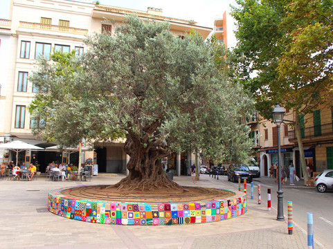 Parroquia de la Mare de Deu dels Dolors-马纳科尔必去景点