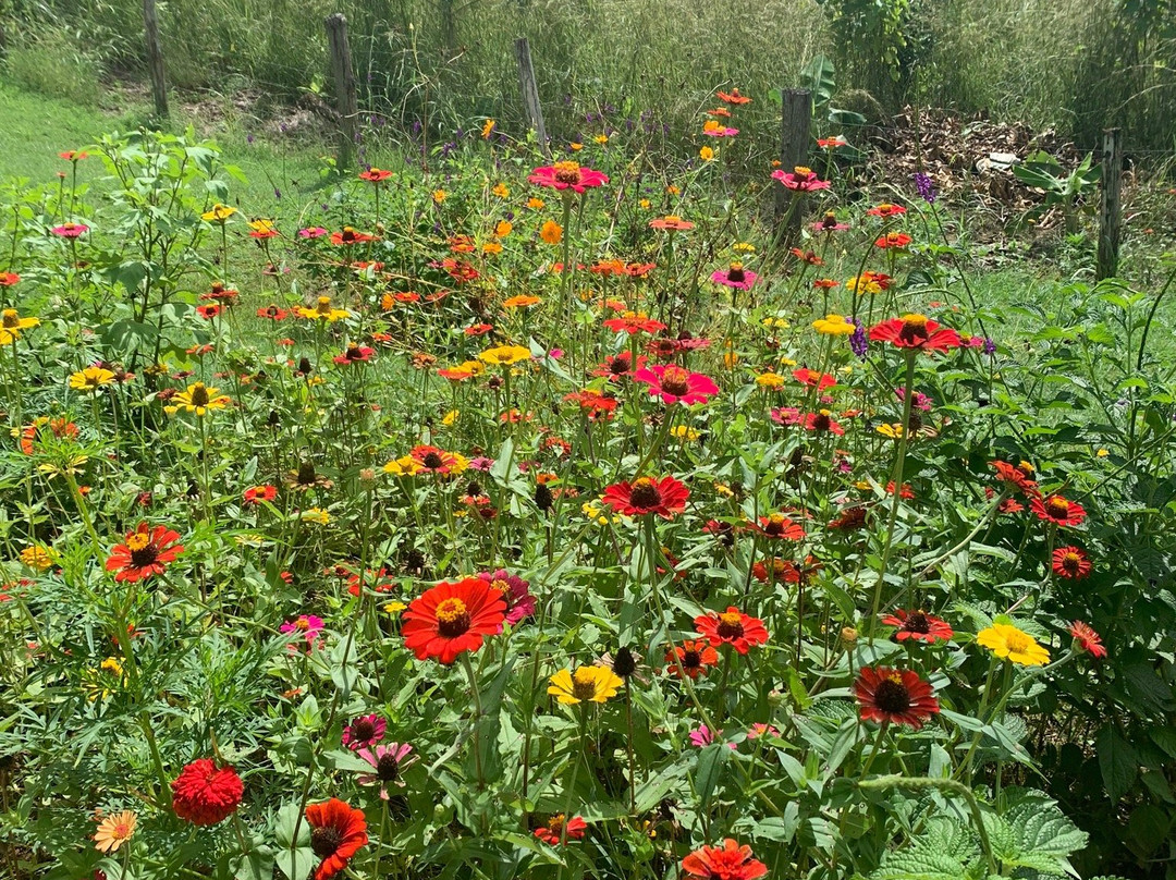 Nandayure旅游攻略图片