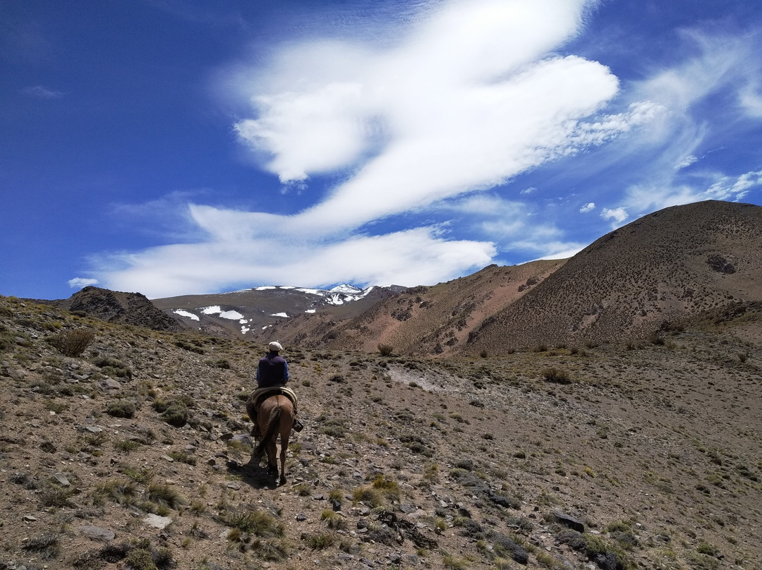 Rancho El Rosario Horse Riding Holidays-门多萨必去景点