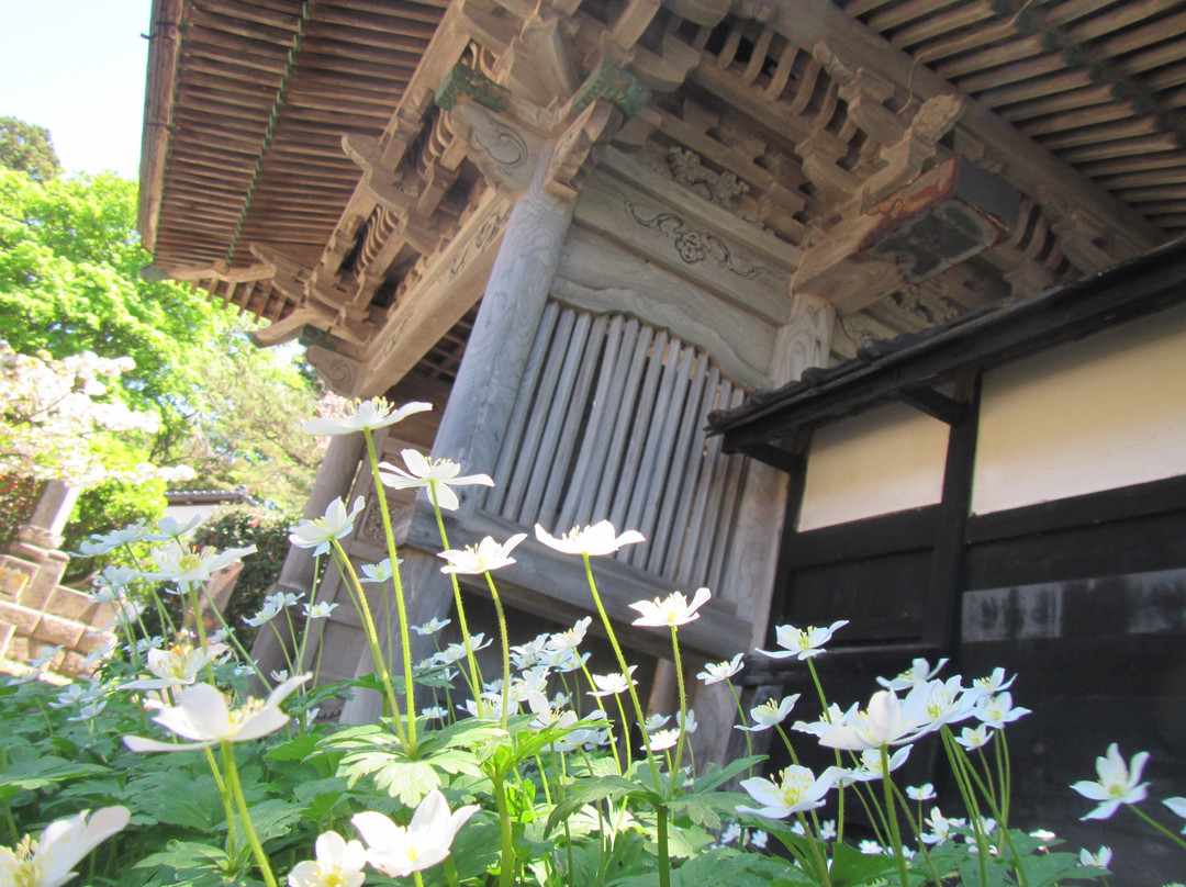 Ryuunin-松前町必去景点