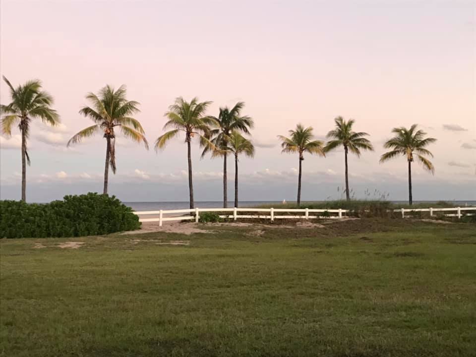 珊瑚钥匙酒店-泳池