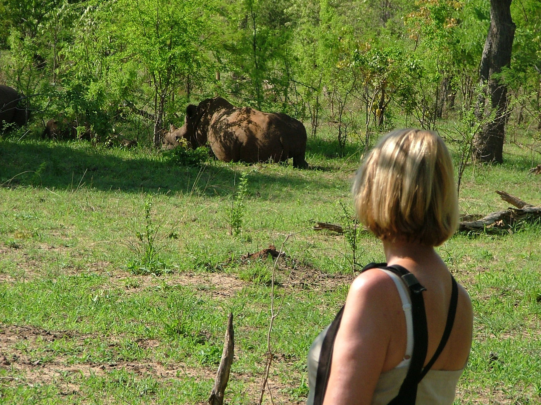 Arnolubi Safaris & Tours-李文斯顿必去景点