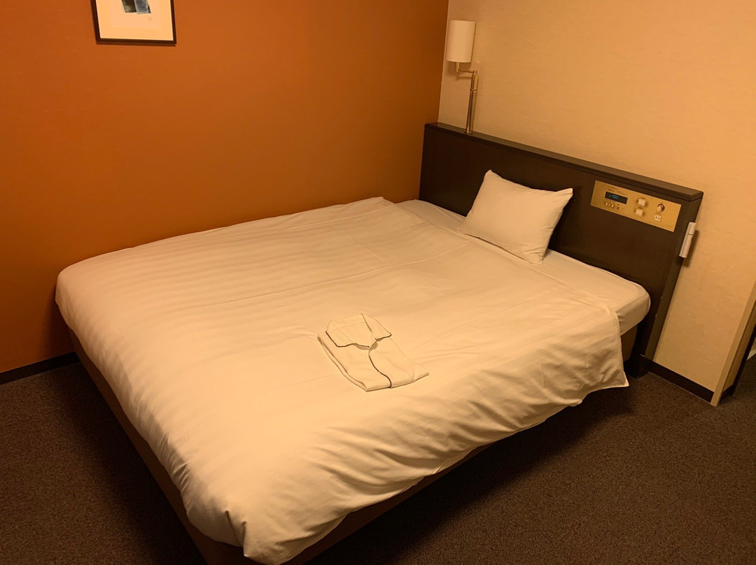 水户戴哇鲁内酒店主图