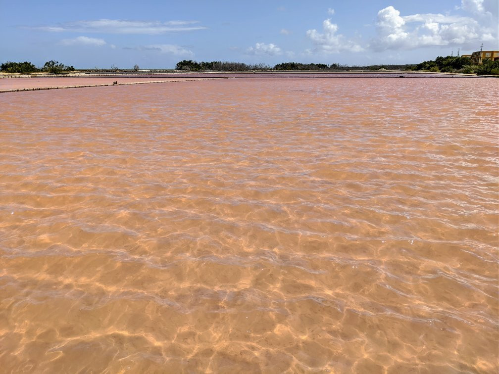 Salinas de Cabo Rojo景点图片