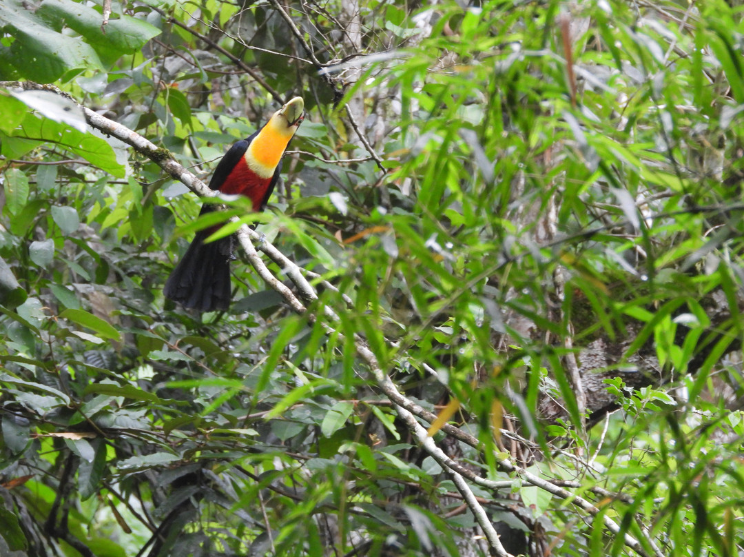 Cachoeira do Alecrim-Tapirai必去景点