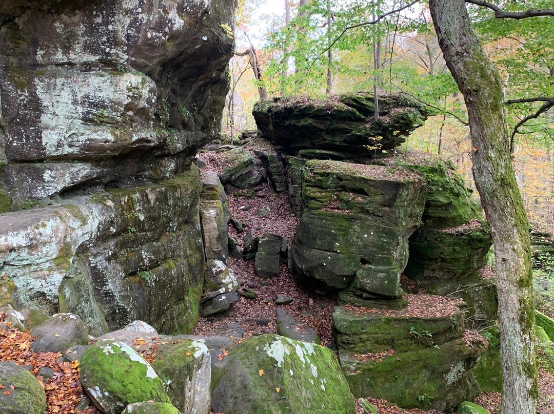 Rim Rock Recreational Area景点图片