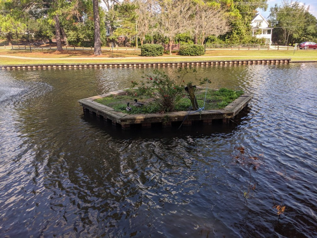 Quarterman Park景点图片