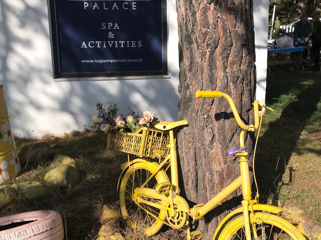 Lagoon Palace Spa & Activities主图