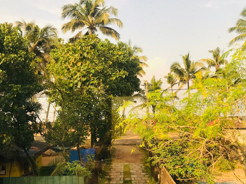 Palm Beach Villa主图