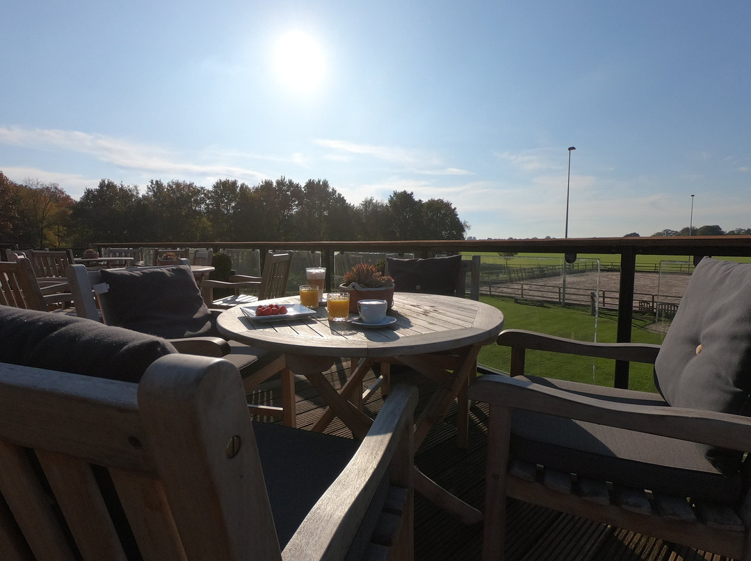 Human & Horse Hotel主图