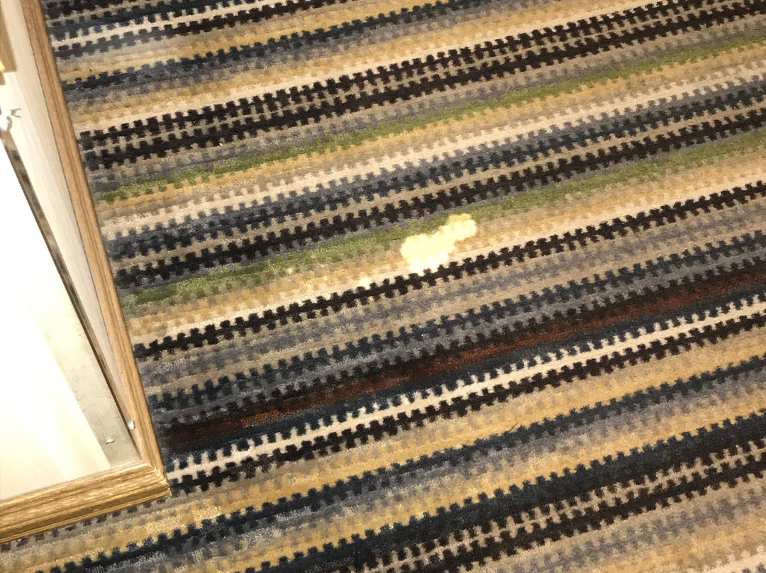 Country Inn & Suites by Radisson, Chanhassen, MN主图