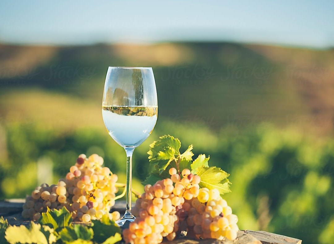 Wine Tour in Sicily - Day Tours景点图片