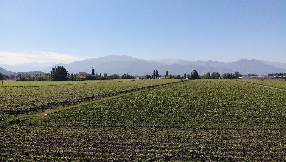 Viña Casa Silva-San Fernando必去景点