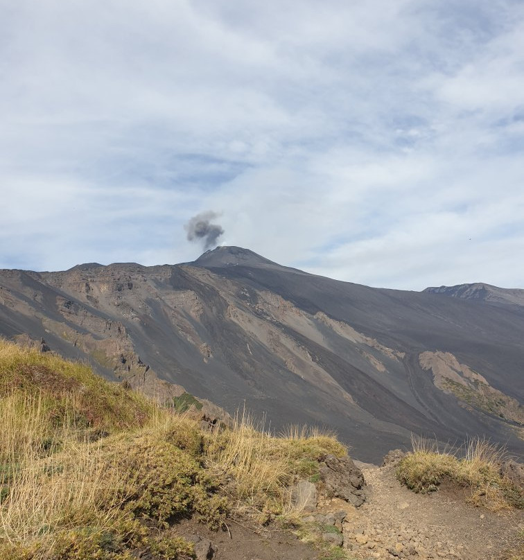 Etna Guided Tours景点图片