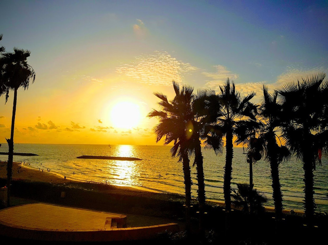 丹尼尔荷兹利亚酒店主图