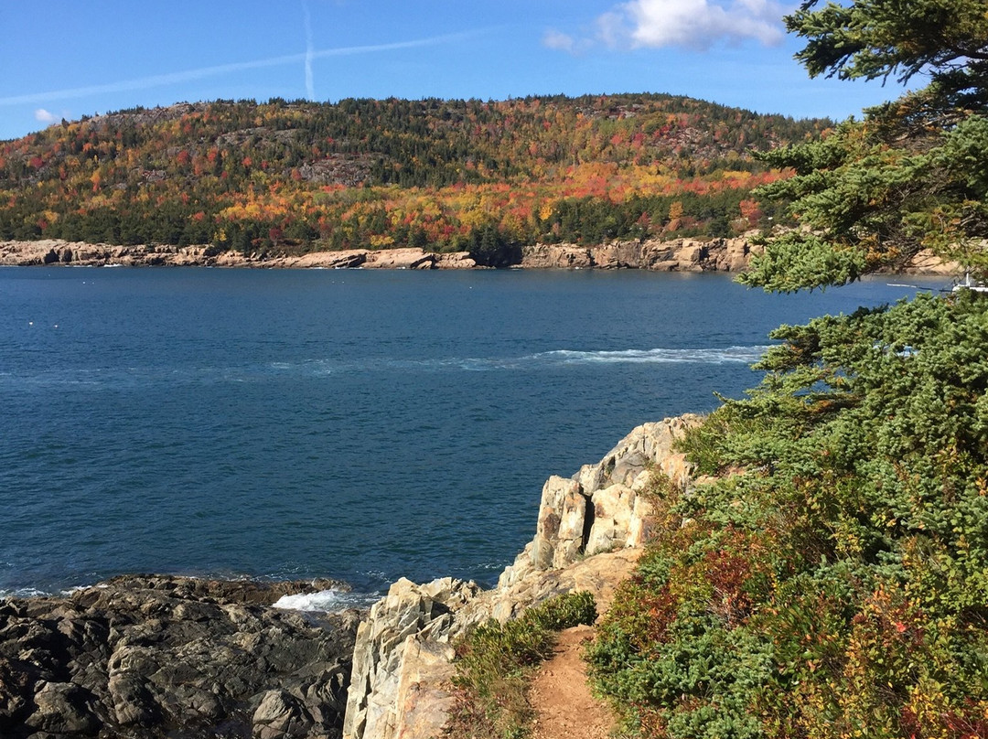 Great Head Trail-阿卡迪亚国家公园必去景点