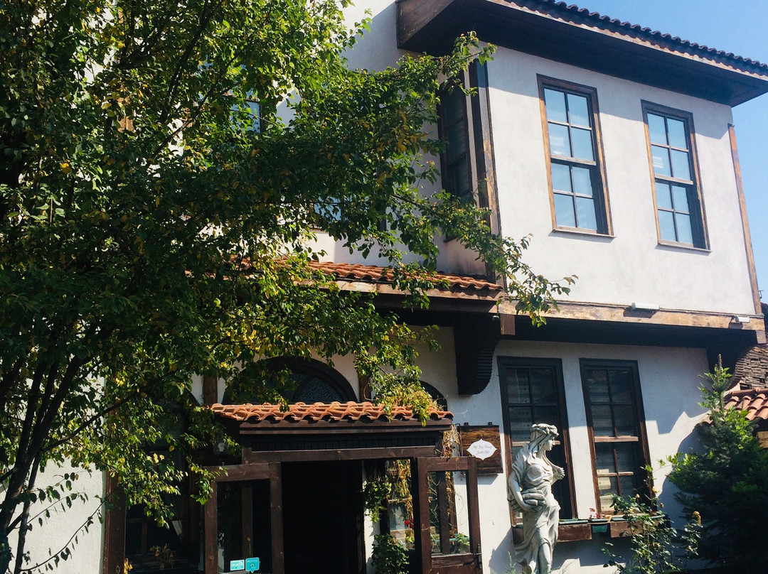 Akif Bey Konagi主图