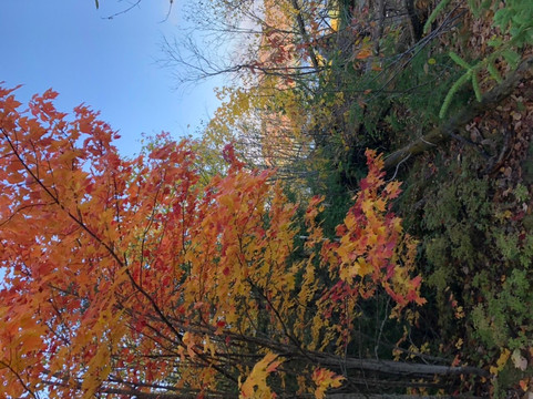 Lake Fever Wilderness Co.-多伦多必去景点