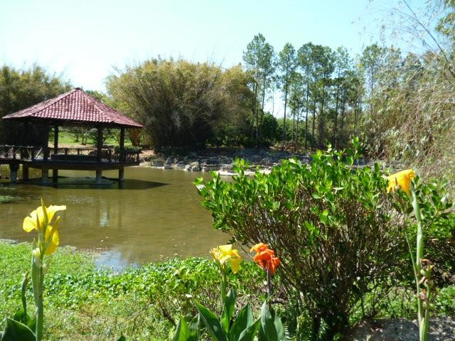 San Antonio de los Banos旅游景点-Jardin Botanico Nacional