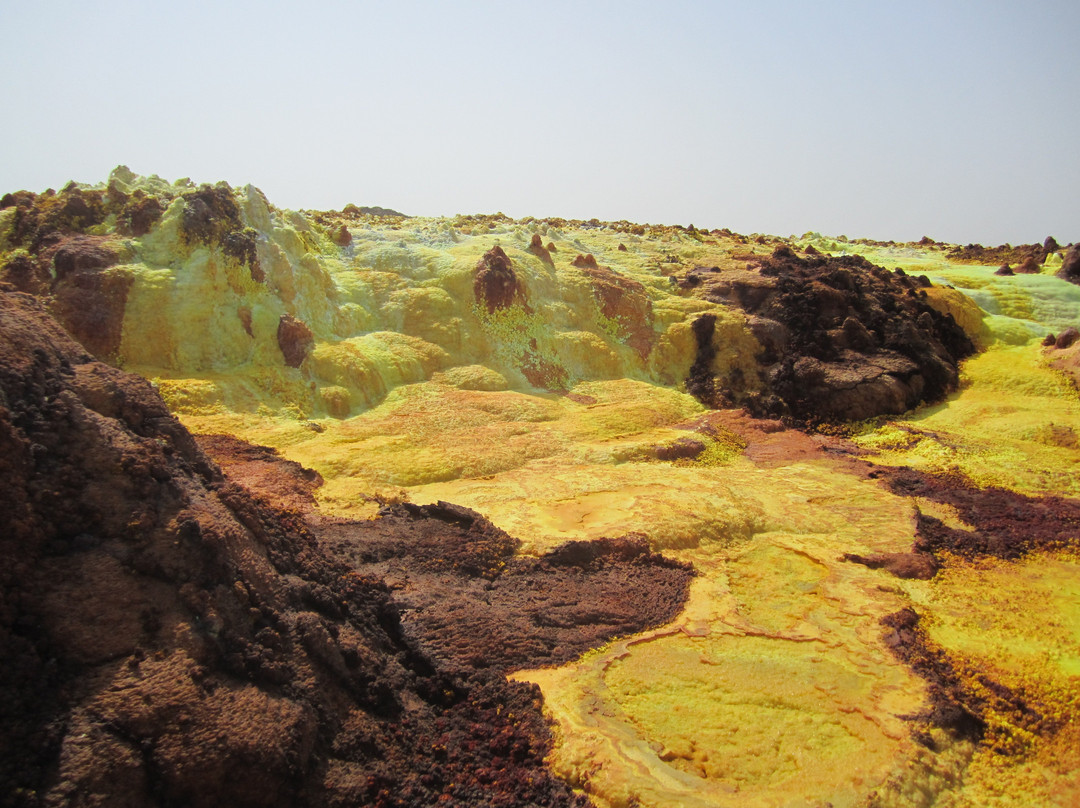 North Ethiopia Tours景点图片