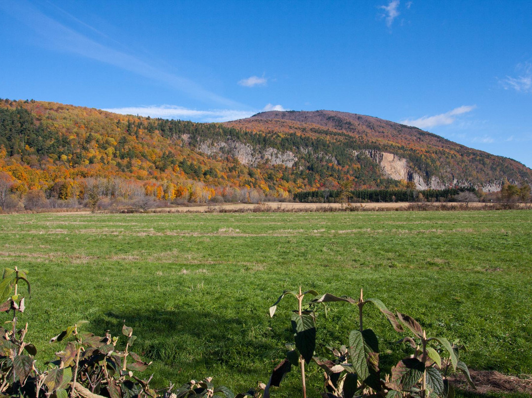 Saint-Francois-de-l'Ile-d'Orleans旅游攻略图片