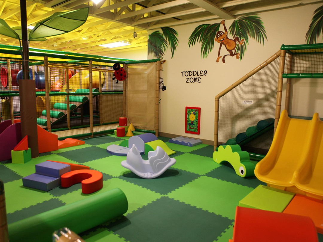 Fun Bugs Indoor Playground景点图片