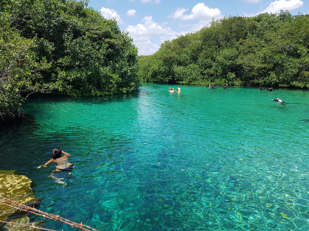 Casa Cenote景点图片