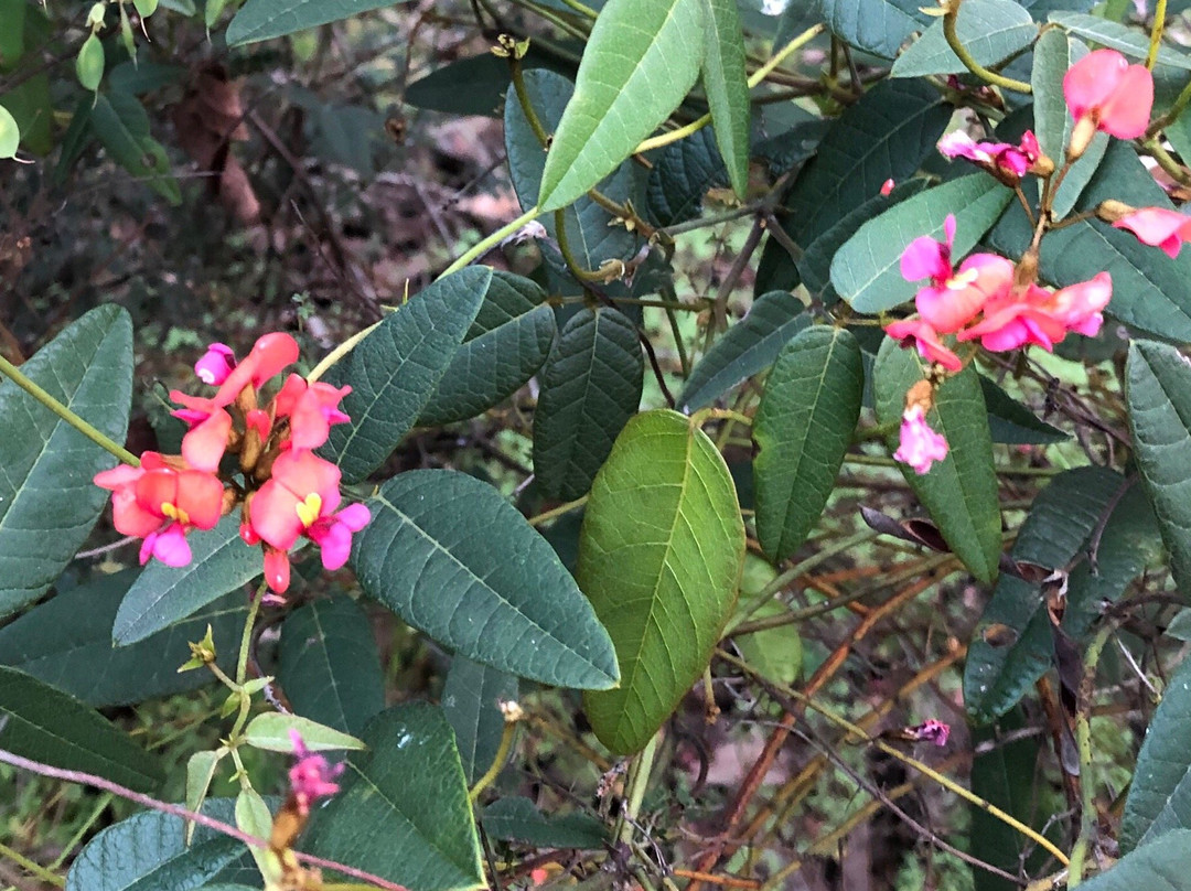 Travellers Rest Motel主图