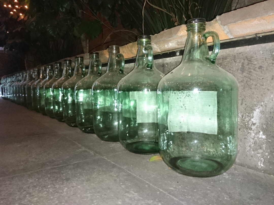 Casa Merlot-托卢卡必去景点