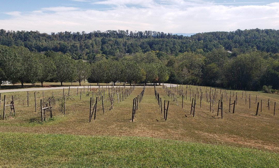 Tennessee Valley Winery-Loudon必去景点
