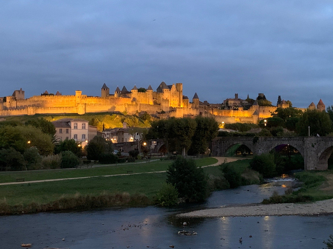 Carcassonne Croisieres景点图片