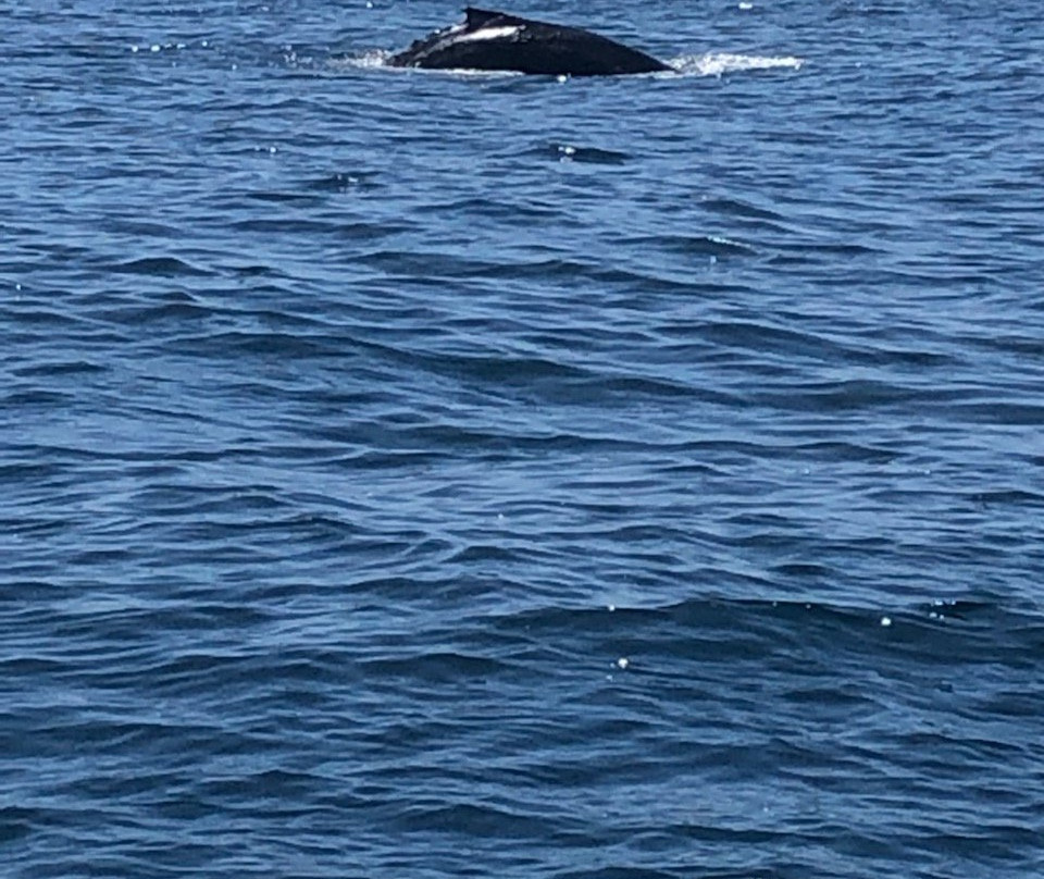 Adventure Rafting-穆鲁拉巴必去景点