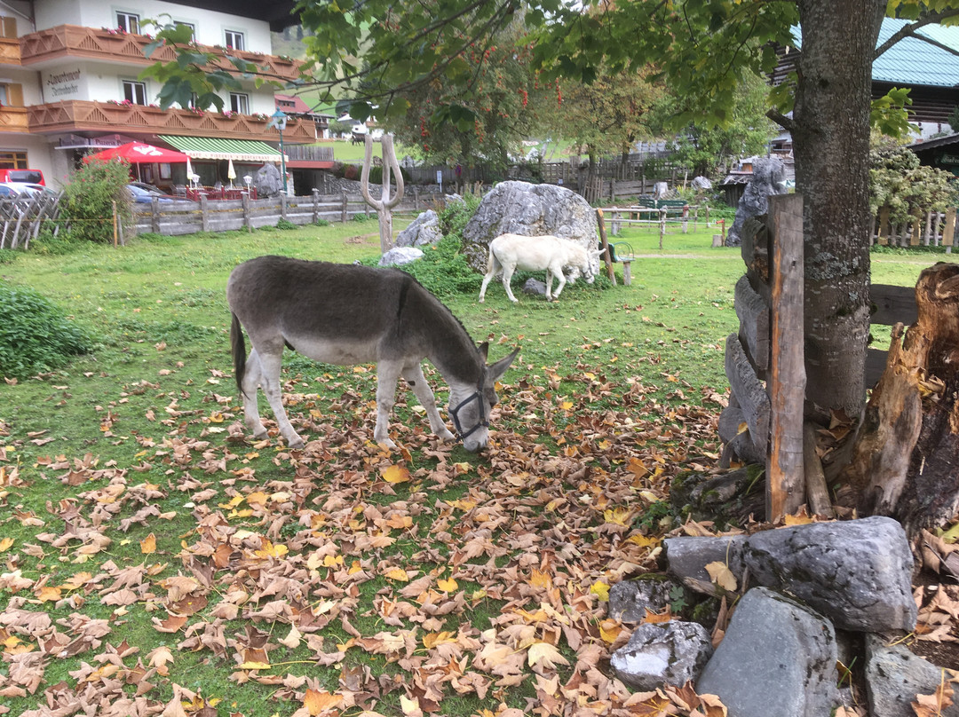 Filzmoos Ski Area-菲尔兹摩斯必去景点