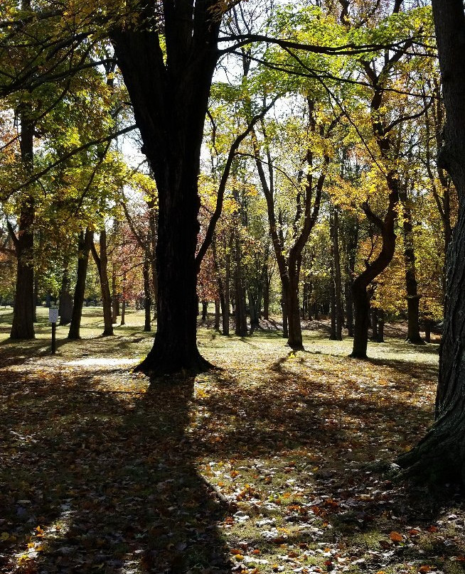 Thompson Park景点图片