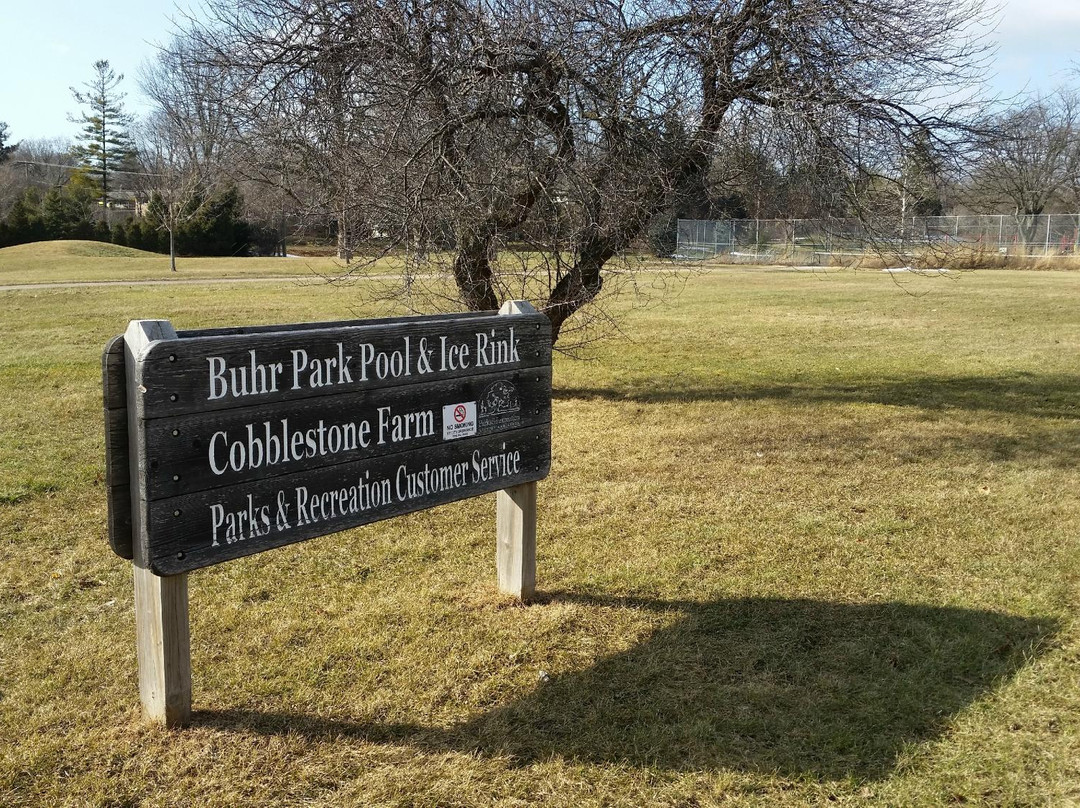 Buhr Park-安娜堡必去景点