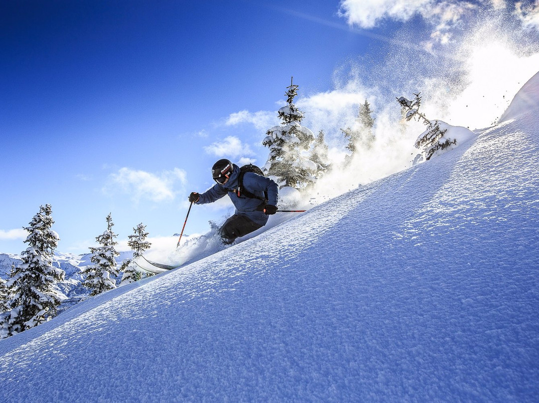 Ski Broker景点图片