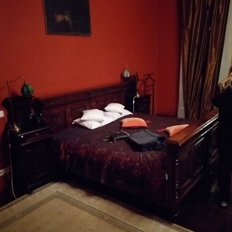 Hotel Poesis Satu Mare主图