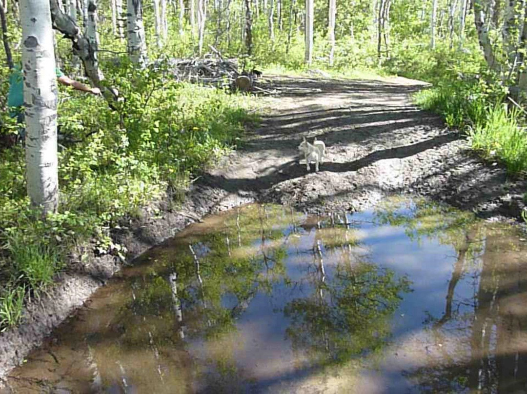 Green Mountain Falls Hiking Trail