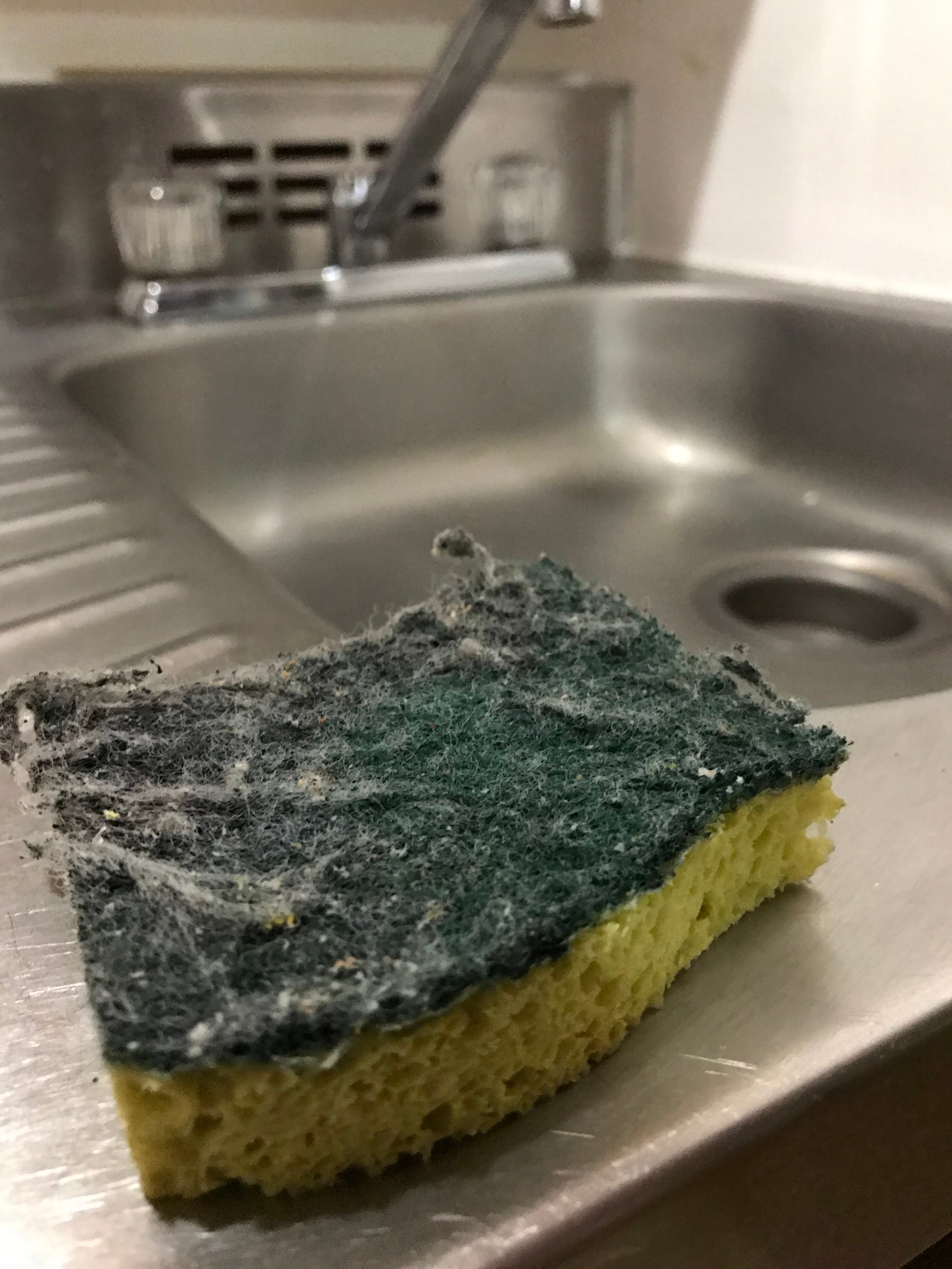 Merrill Farm Inn-portrait