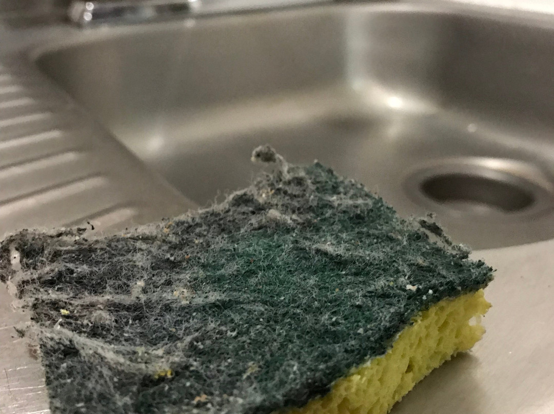 Merrill Farm Inn主图