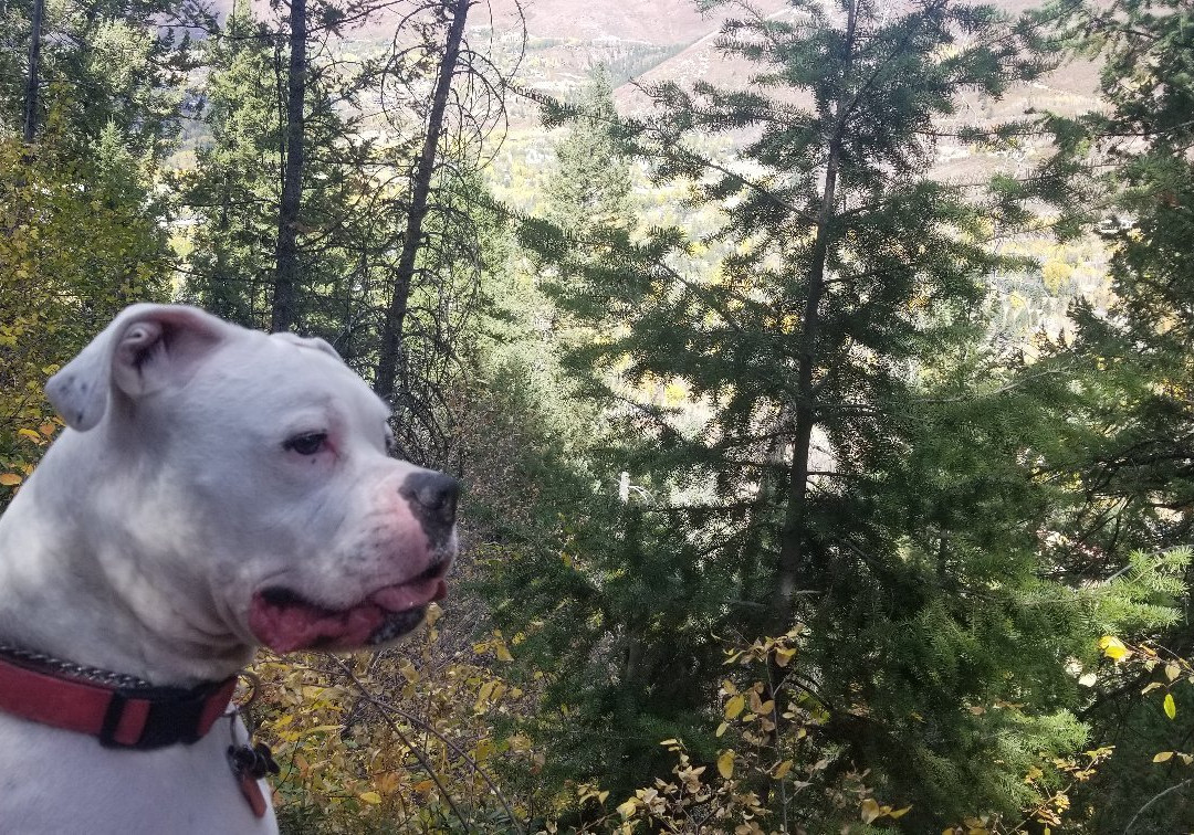 Ute Trail-阿斯蓬必去景点