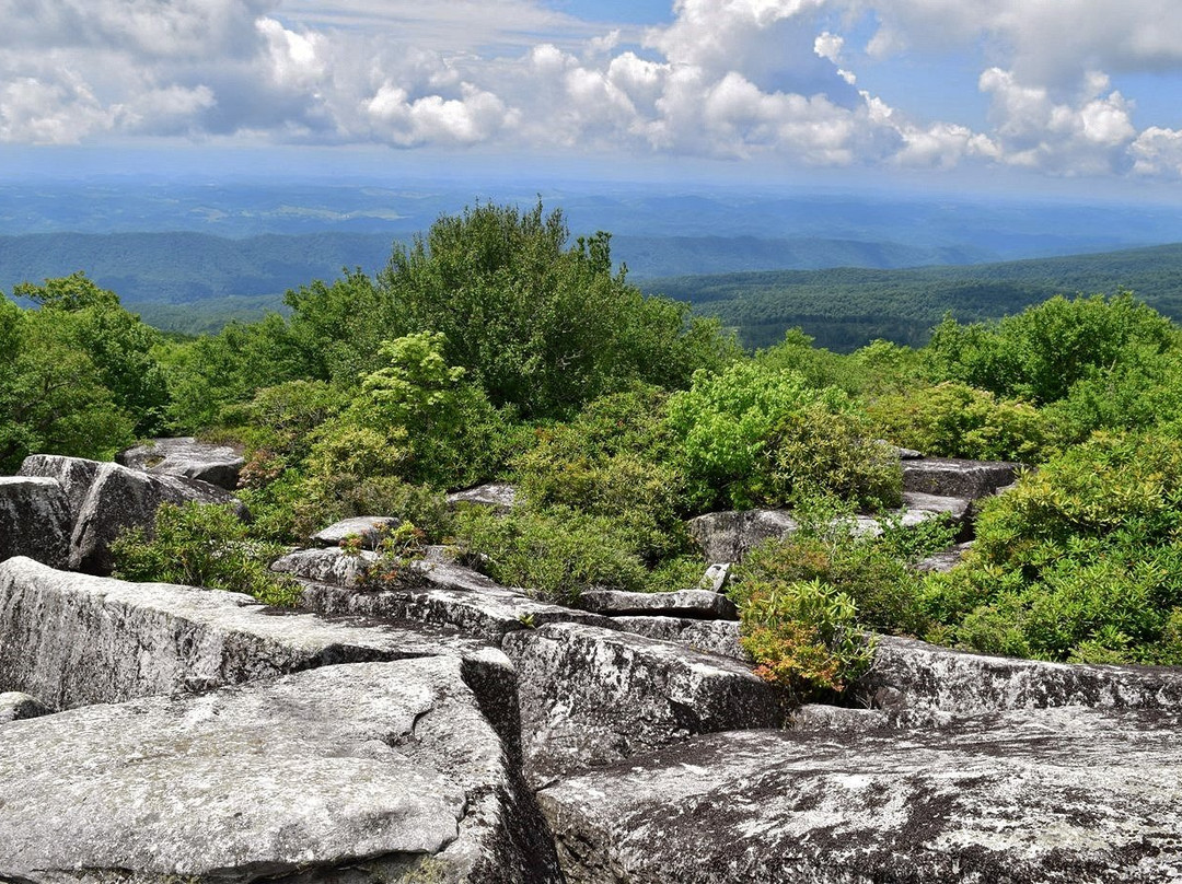The Channels Natural Area Preserve-弗吉尼亚必去景点