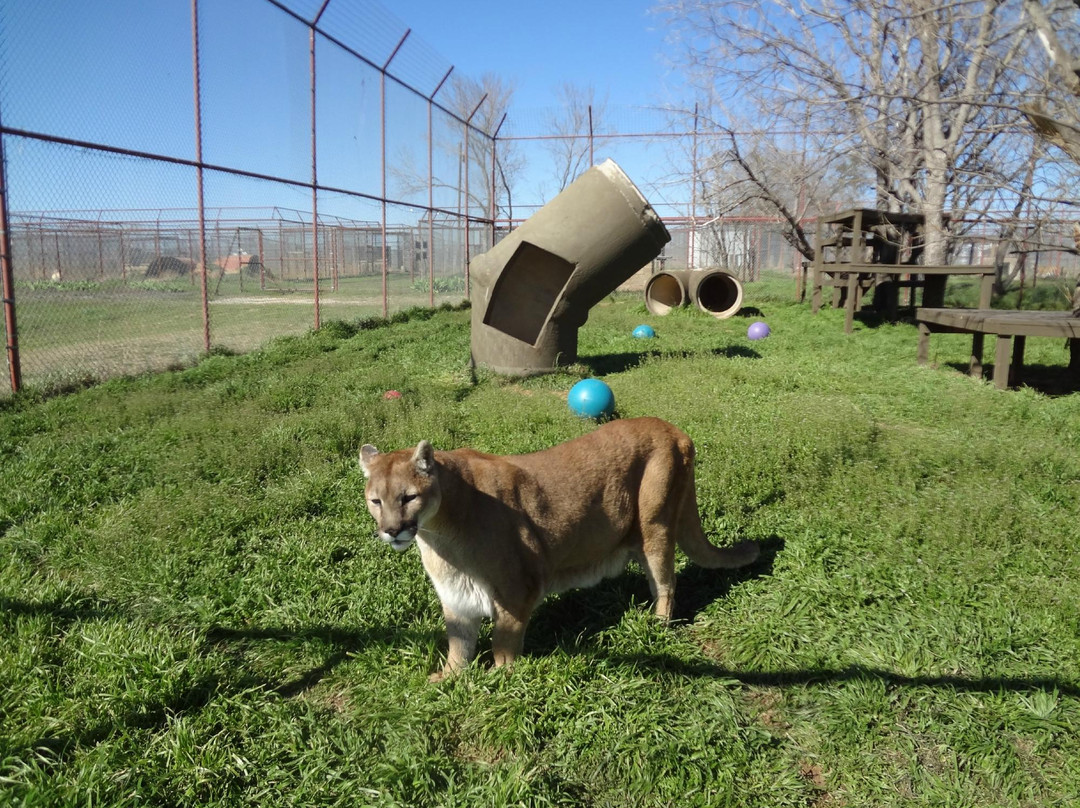Center for Animal Research & Education