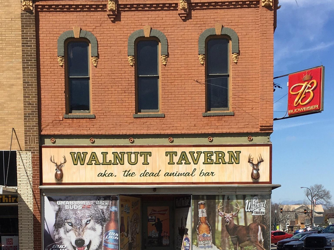 Walnut Tavern AKA The Dead Animal Bar景点图片