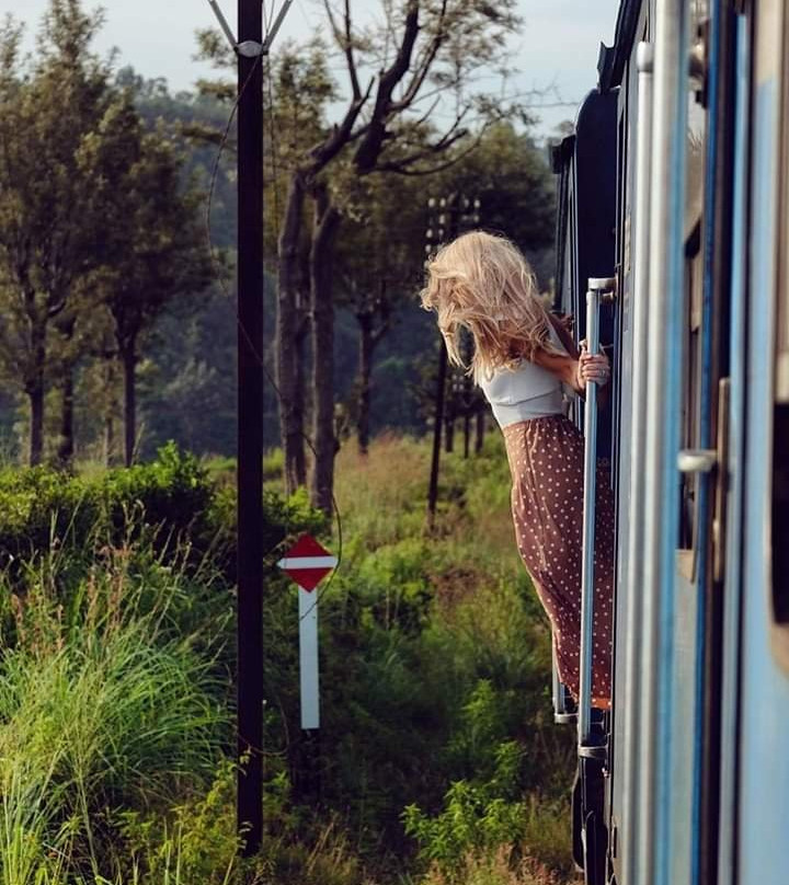 Kandy To Ella Train景点图片
