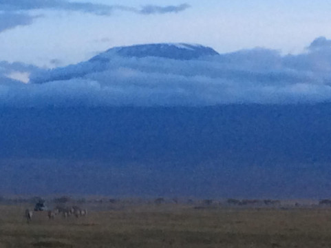 FRENZY ADVENTURES LIMITED-蒙巴萨必去景点