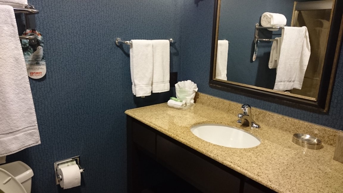 Holiday Inn 休斯顿东钱诺夫by IHG-浴室